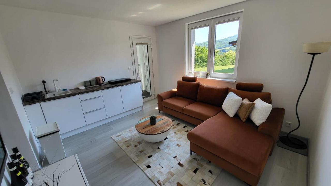 Apartman S Bazenem A Saunou Kadaň Exteriör bild