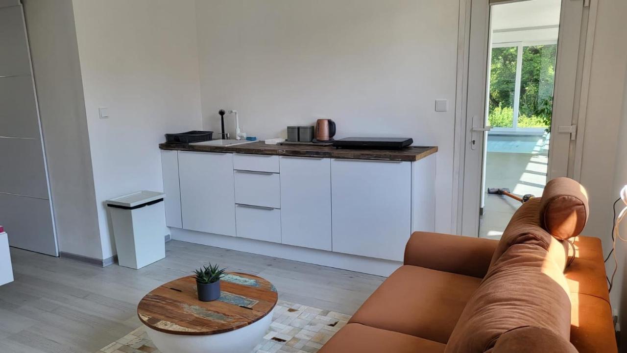 Apartman S Bazenem A Saunou Kadaň Exteriör bild